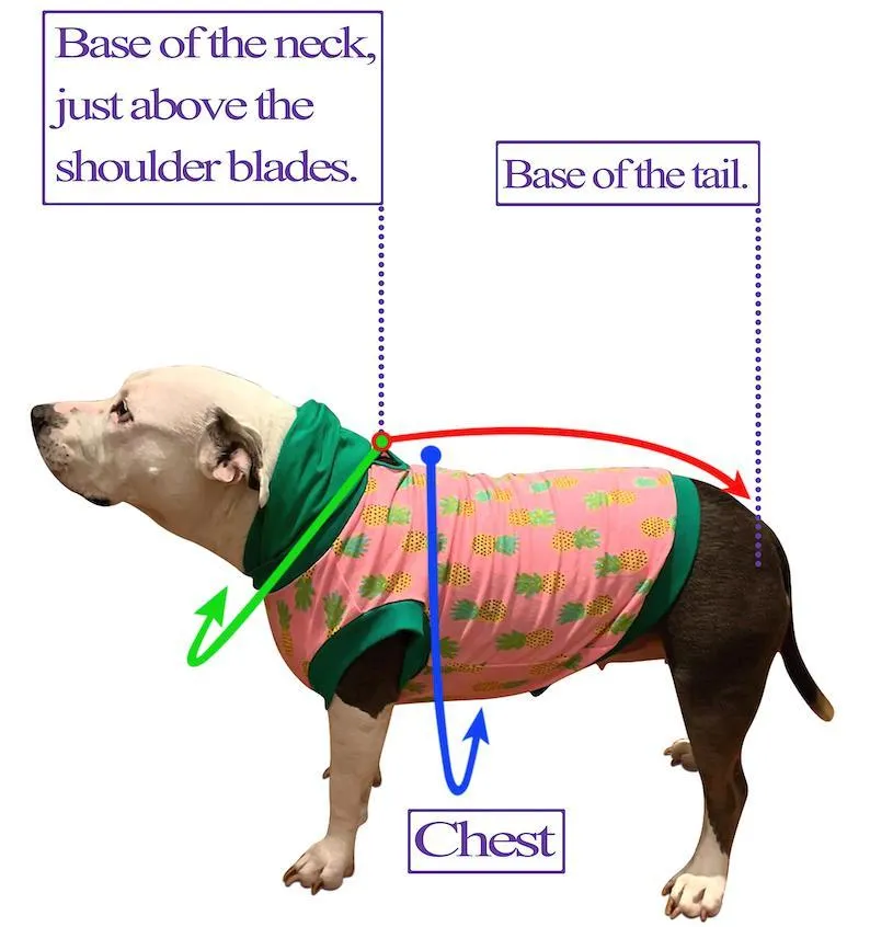 April Showers - May Flowers - PAWjama with Yellow Neck & Trim/Sleeves