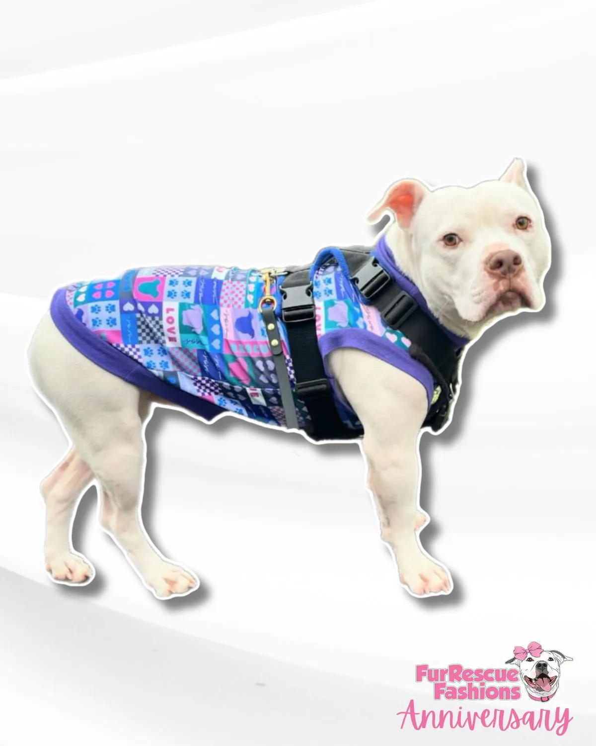 Peace, Love, Rescue (Purple) - Dog Pajama with Purple Trim/Sleeves